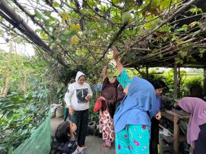 Salah satu Rumah Bibit HAPSARI - Kampung Nusa