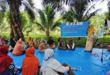 2.000 Petani Sawit, Kesetaraan Gender dan Cerita dari Sumatera Utara