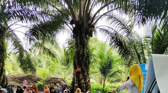 Membaca Sawit Berkelanjutan dari Rumah Tangga Pelatihan Literasi Keuangan untuk Perempuan Petani Sawit oleh HAPSARI di wilayah Labuhanbatu Selatan, 2025 (foto: Dok HAPSARI)